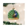 Old World Christmas Blown Glass Ornament for Christmas Tree, Proud Peacock - 2 of 4