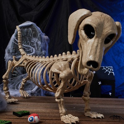Joyfy 24” Halloween Posable Animal Wiener Dog Skeleton Decor Dog Plastic Bones with Movable Joints for Graveyard Haunted House Party Prop