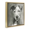 Stupell Industries Muted Dog with Quiet Expression Floating Frame Canvas Art, Gold, 18" x 18" - 2 of 4
