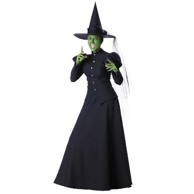 Women's Wicked Witch Deluxe Costume - Large : Target