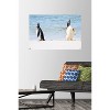 Trends International The Comedy Wildlife Photography Awards: Jennifer Hadley - Talk To The Fin Unframed Wall Poster Prints - 2 of 4