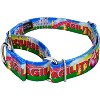 Country Brook Petz Martingale Dog Collar - Dog's Life Collection - image 2 of 4