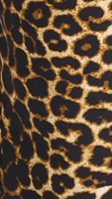 leopard print