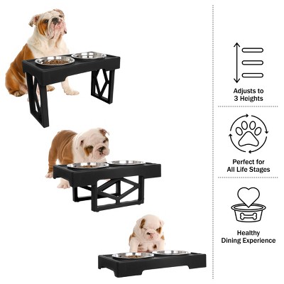 Black Elevated Dog Feeding Station with Stainless Steel Bowls