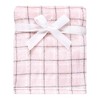 Hudson Baby Infant Girl Plush Blanket with Security Blanket, Pink Bear, One Size - 4 of 4
