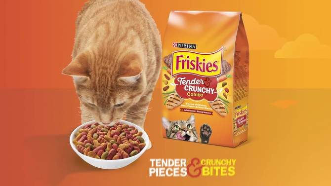 Friskies Tender &#38; Crunchy with Flavors Chicken,Beef,Carrots&#38;Green Beans Adult Complete &#38; Balanced Dry Cat Food - 16lbs, 2 of 8, play video