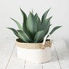 Sullivans Artificial Agave Potted Plant 20"H Green - 3 of 4