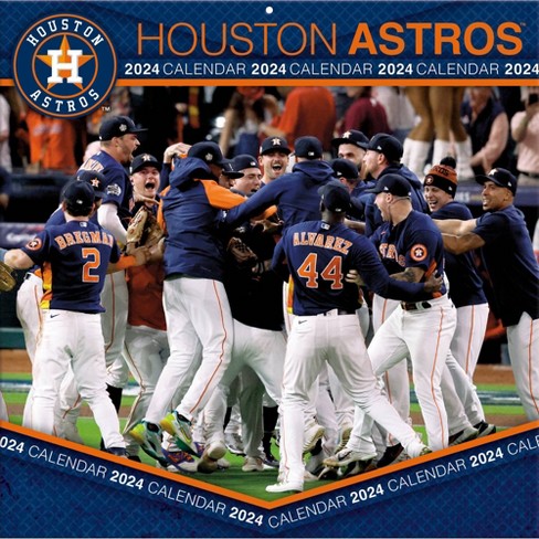 Houston Astros 12 Team Color Flag Circle Sign