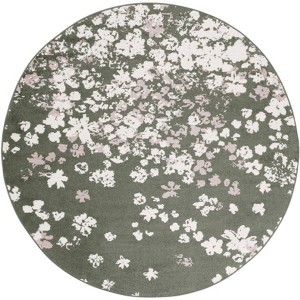 Adirondack ADR115 Non-Shedding Power Loomed Indoor Rugs - Safavieh - 1 of 4