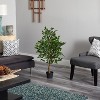 HomeStock  3.25 ft. Artificial Ficus Tree in Pot for Indoor/Outdoor - 4 of 4