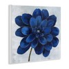 Stupell Industries Modern Deep Blue Floral Carnation, 12" x 12" - 3 of 4