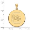 Black Bow Jewelry 10k Yellow Gold South Carolina Gamecocks NCAA Extra Large Pendant - 2 of 3