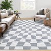 Area Rug Living Room Rugs - Washable Modern Abstract Soft Thin Large Rug Indoor Floor No Slip Rug Carpet for Bedroom Under Dining Table - 3 of 4