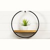 Wood Circle Shelf in Metal Frame – 17.5"H – Brown and Black Wall Decor for Indoor Display By Melrose - 3 of 3