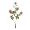 Protea Stem Set Of 6 Orange and Green 34.25 Inch Faux Flowers for Home Decor By Melrose - 2 of 3