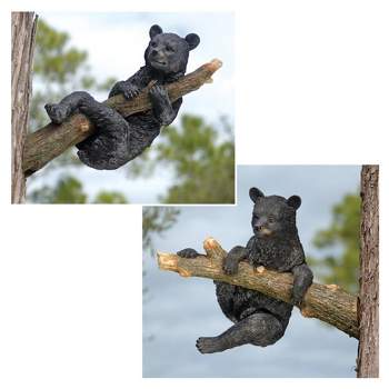 Design Toscano Snooping Cub Black Bear Statue : Target