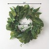 Sullivans Artificial 24" Multi Leaf Wreath, Green - 4 of 4