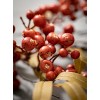 Sullivans Berry Leaf Artificial Stem 28"H Brown - 2 of 3