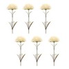 Melrose Puff Stem (Set of 6) - 3 of 3