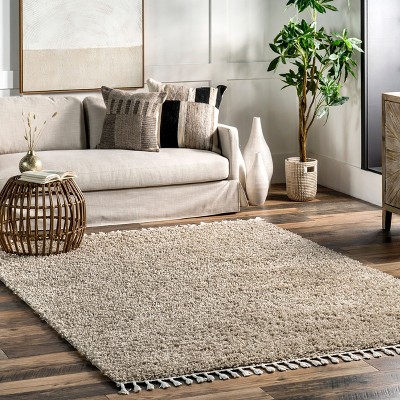 Beige Braided Rectangular Shag Area Rug 4' x 6'