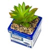 Silver Buffalo The Office Dunder Mifflin Paper Box Ceramic Planter with Artificial Succulent - 3 of 4