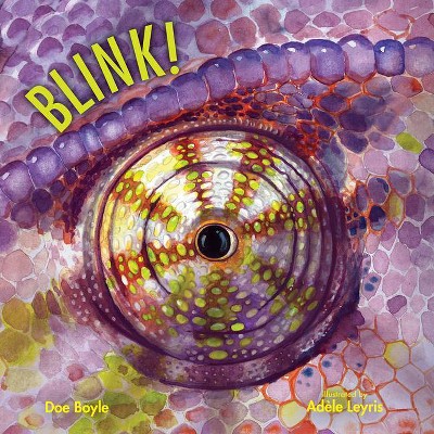 Blink! - (Imagine This!) by  Doe Boyle (Hardcover)