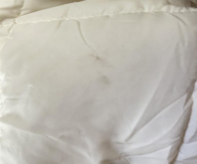Guest review image 1 of 1, zoom in