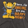 Boys' Garfield Smiling T-Shirt Charcoal Small - 3 of 4