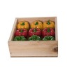 Transpac Resin 4 in. Multicolor Spring Bell Pepper Figs In Display Set of 9 - 2 of 4
