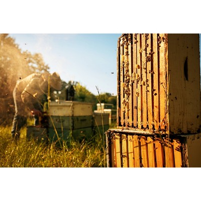 Imagen de producto 5