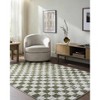 Hauteloom Canika Green Checkered Washable Plush Rug - 4 of 4
