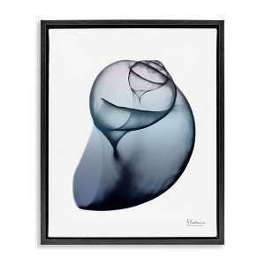 Stupell Industries Contemporary Snail Shell, 17" x 21" - 1 of 4