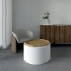 Ozarke Allure Coffee Table - 4 of 4