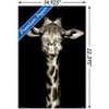 Trends International Portrait of a Giraffe Unframed Wall Poster Prints - 3 of 4