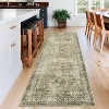 Washable Area Rugs for Living Room Bedroom Vintage Boho Distressed Rug Soft Low Pile Non-Slip Carpet - 3 of 4
