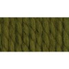(3 Pack) Lion Brand Wool-Ease Thick & Quick Yarn - Cilantro - 3 of 3
