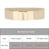 INSPIRE CHIC Women's Stretchy Vintage Wide Elastic Cinch Belt Waistband - 4 of 4