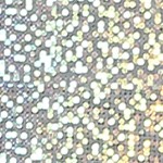 dotted silver