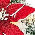 red and white