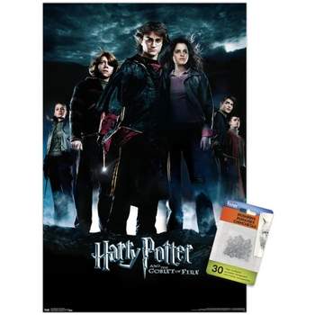 Harry Potter and the Chamber of Secrets - International One Sheet Wall  Poster, 22.375 x 34, Framed