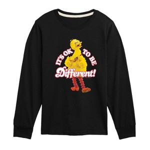 Boys' - Sesame Street - Its Ok To Be Different-Toddler and Youth Long Sleeve T-Shirt Long Sleeve Graphic T-Shirt - 1 of 3