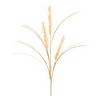 Melrose Foxtail Pod Spray (Set of 12) - 4 of 4