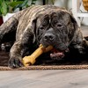 Pet Factory Made in USA Beefhide Assorted Bones & Rolls - 4 of 4