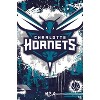 Trends International NBA Charlotte Hornets - Maximalist Logo 23 Unframed Wall Poster Prints - 4 of 4