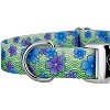 Country Brook Petz Premium Dog Collar - Spring Collection - 4 of 4