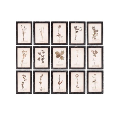 Set of 16 Designs Wood Framed Plaques with Dried Flower Images Decorative Wall Art - 3R Studios