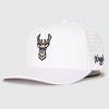 Waggle Adult Polyester Baseball Hat - Kentucky Buck - 2 of 4