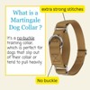 Country Brook Petz Martingale Heavyduty Training Collar with No Buckle - Service Collar for All Dogs - Vibrant, Colorful Collection - 3 of 4