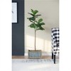 SKRAN Collection of Decorative Planters, Planter Set - Versatile Cement and Metal Planters for Indoor and Outdoor Use - 2 of 4