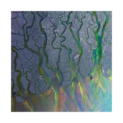 Alt J Awesome Wave Vinyl Target